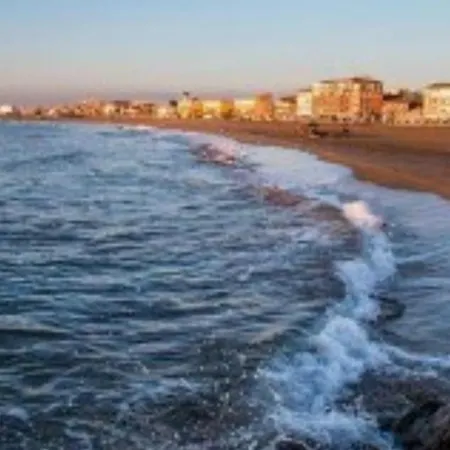 Will * 瓦尔拉普拉日